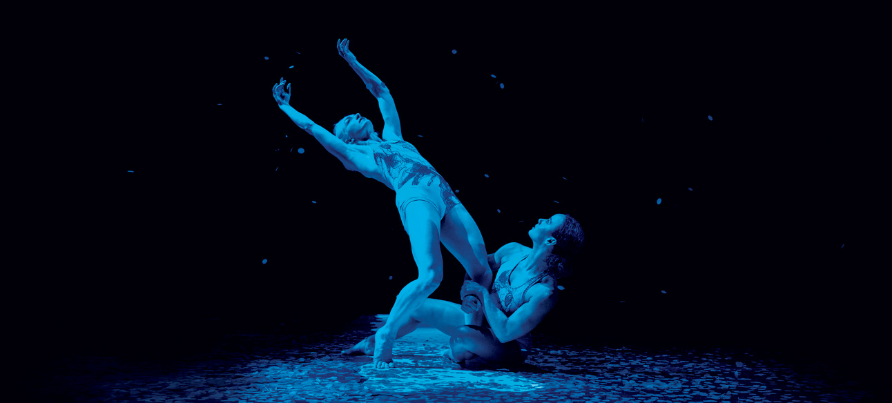06_pilobolus-1292×584