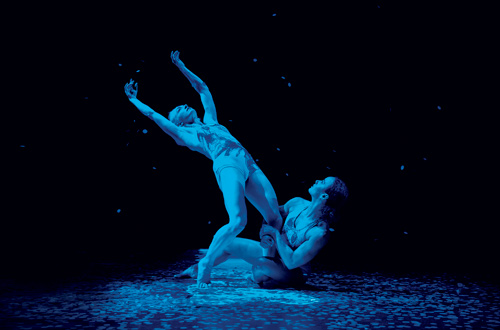 06_pilobolus-500×330