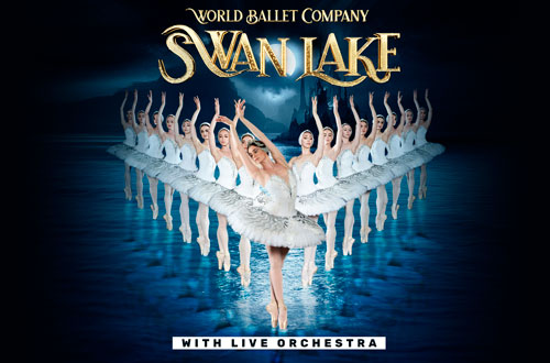 wbc-swan-500×330